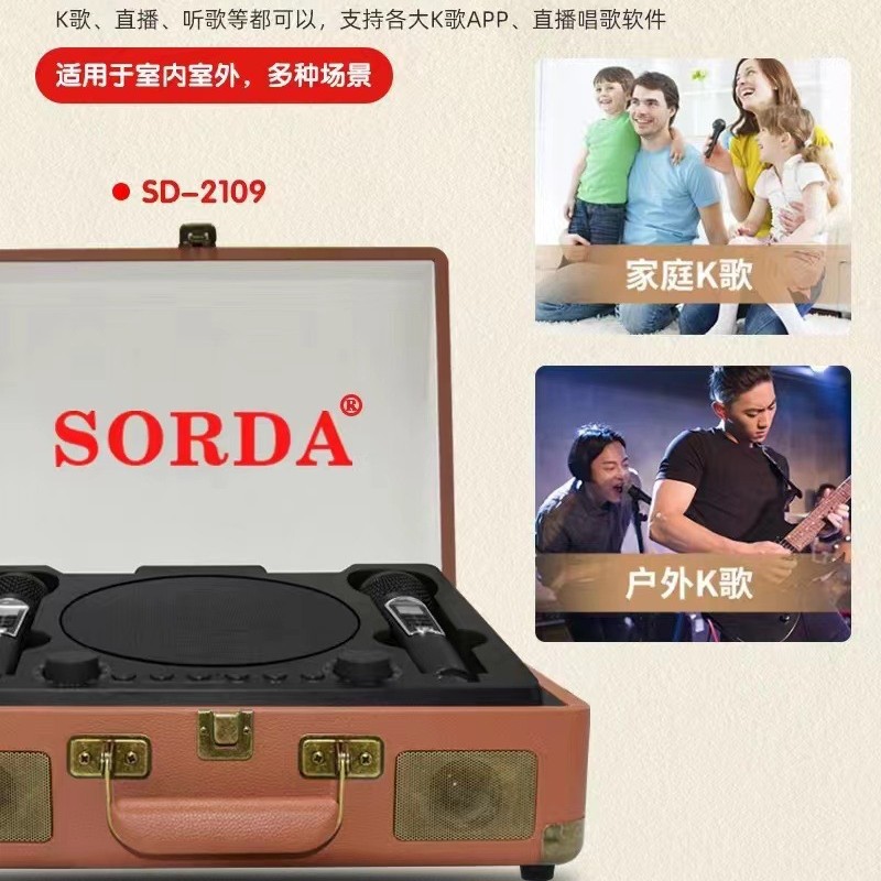 SD2109 Bluetooth Speaker Wireless Microphone Microphone Singing All-in-One Handheld Outdoor Portable K Song