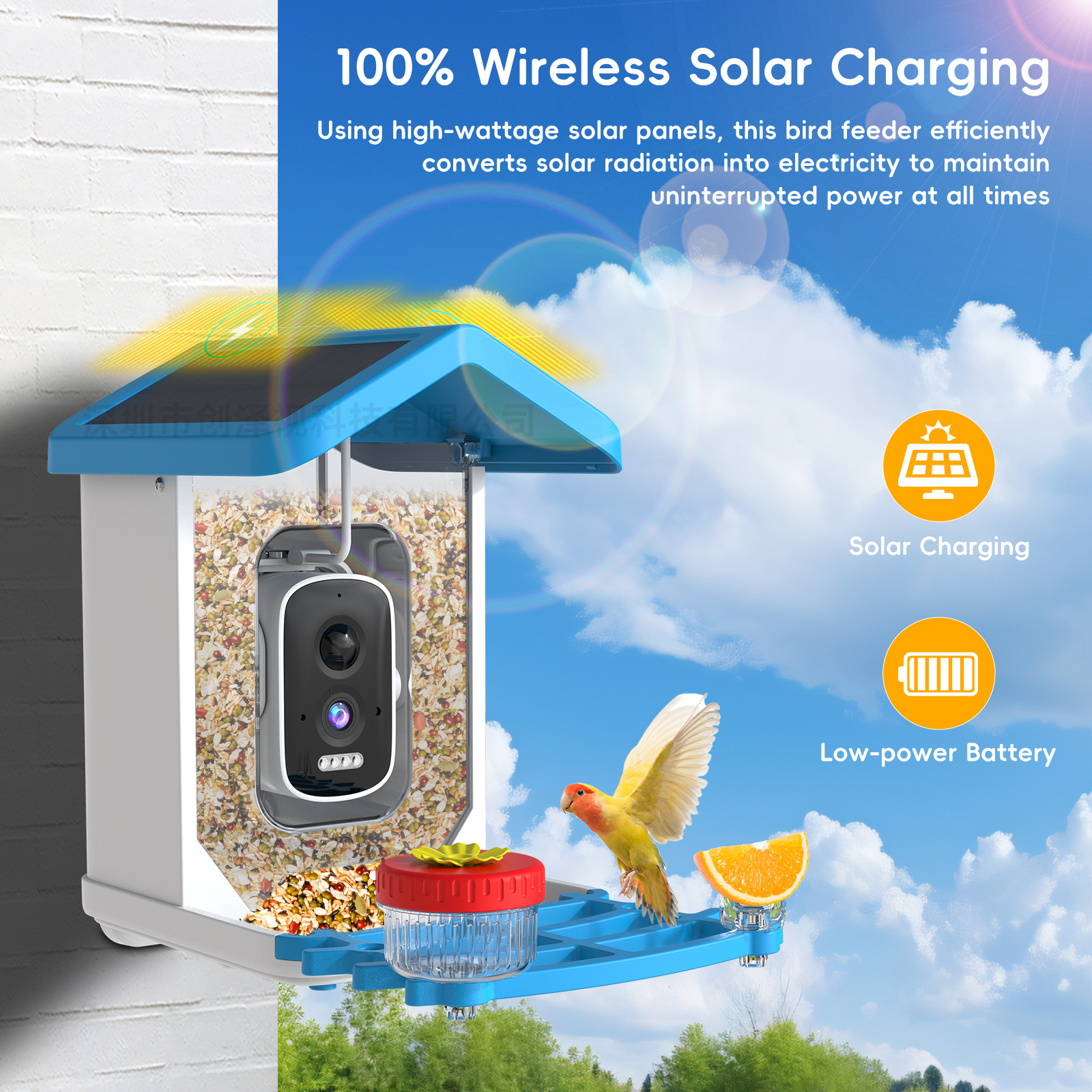 5MP Smart Bird Feeder with AI Recognition of 10,000+ Bird Species Solar Pet Feeder
