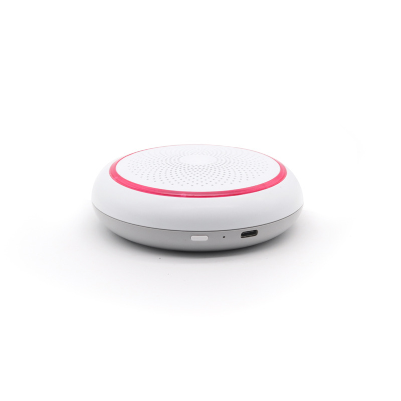 Car air purifier ozone active oxygen sterilization disinfection new car use Cixi Zonghan Ketuo Electric Appliance Factory