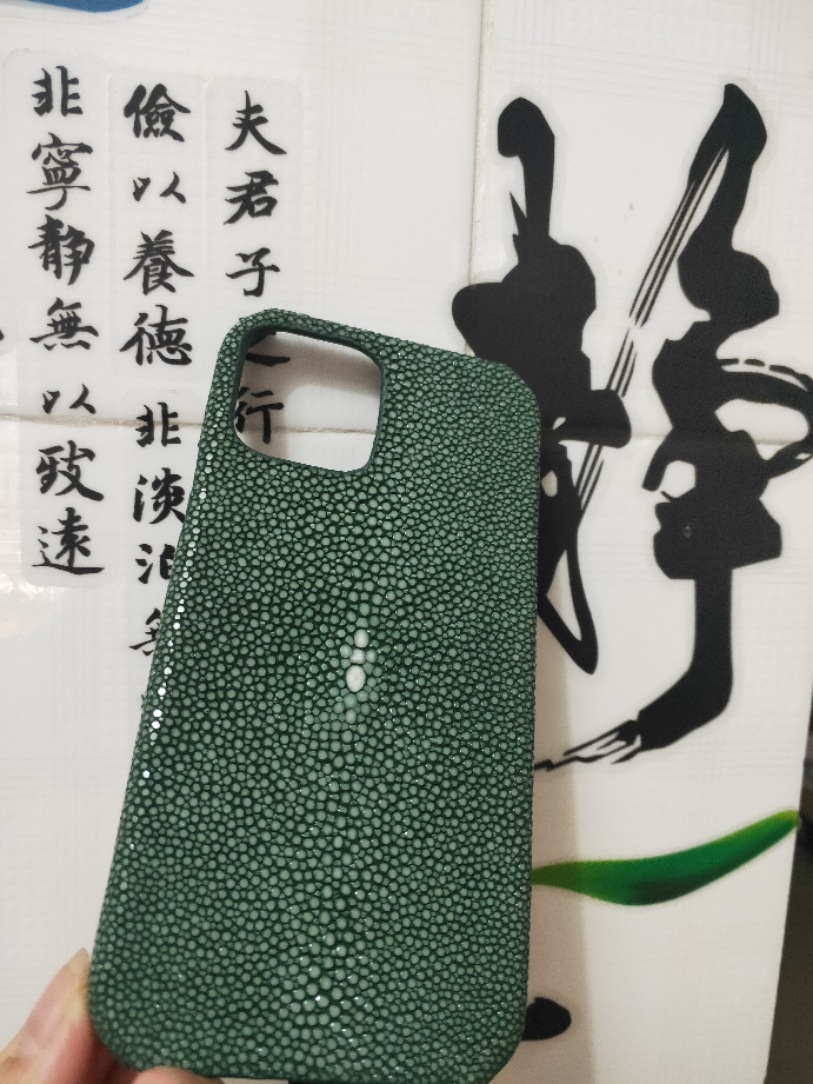 墨绿色 · iPhone12Pro/iPhone12（6.1）