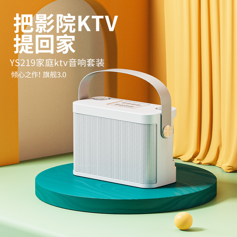 Speaker Karaoke Portable KTV Recording Live Singing Practice Listening Singing Bluetooth KTV Speaker Set