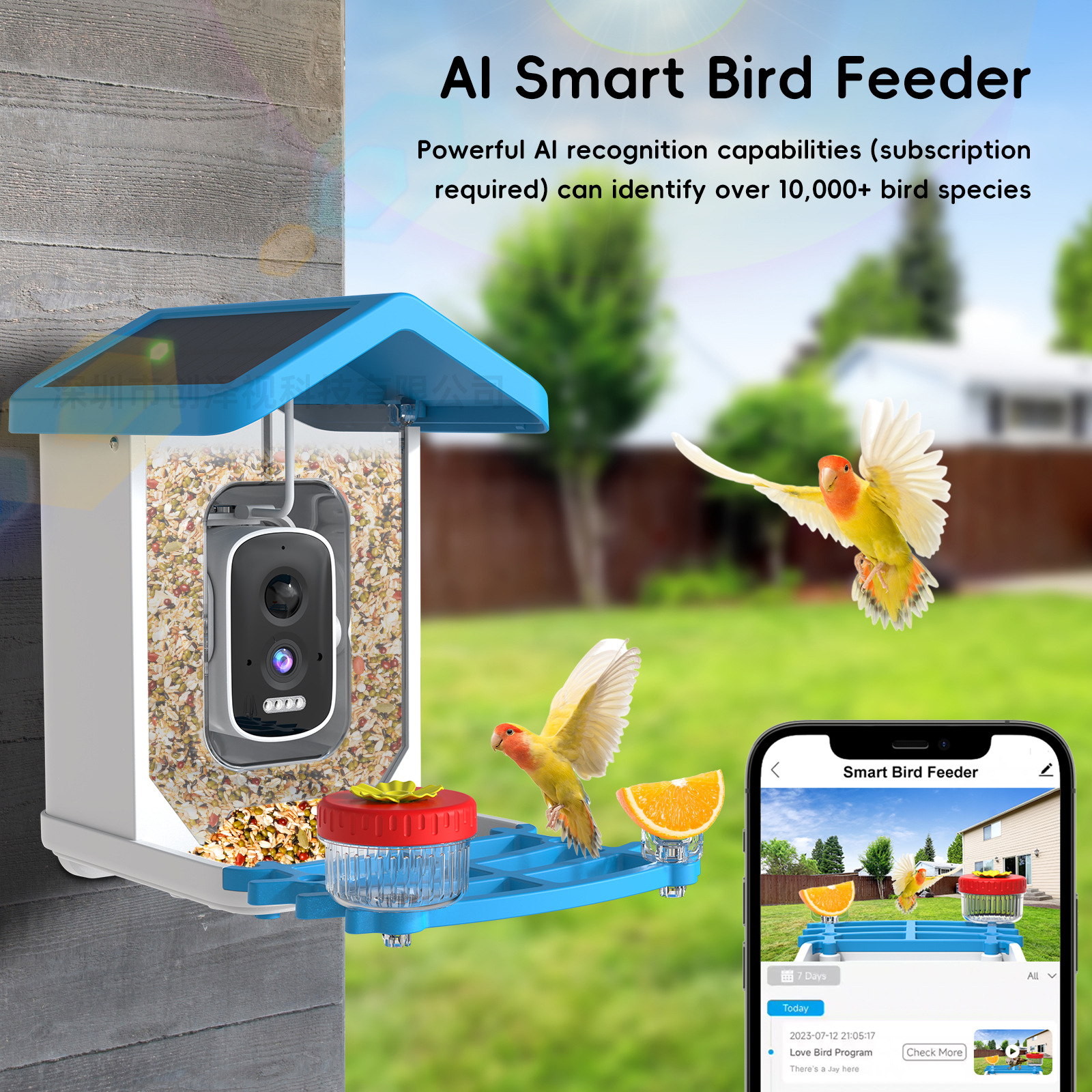 5MP Smart Bird Feeder with AI Recognition of 10,000+ Bird Species Solar Pet Feeder