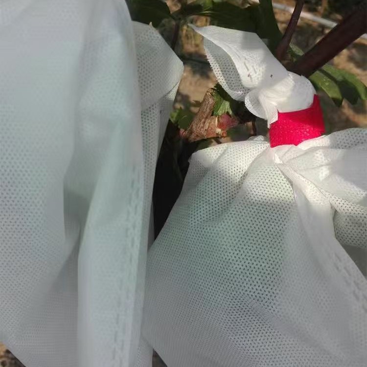 Outdoor binding wire non-woven grape bag pomelo pear fruit protection bag insect-proof bird-proof rain-proof fruit bag