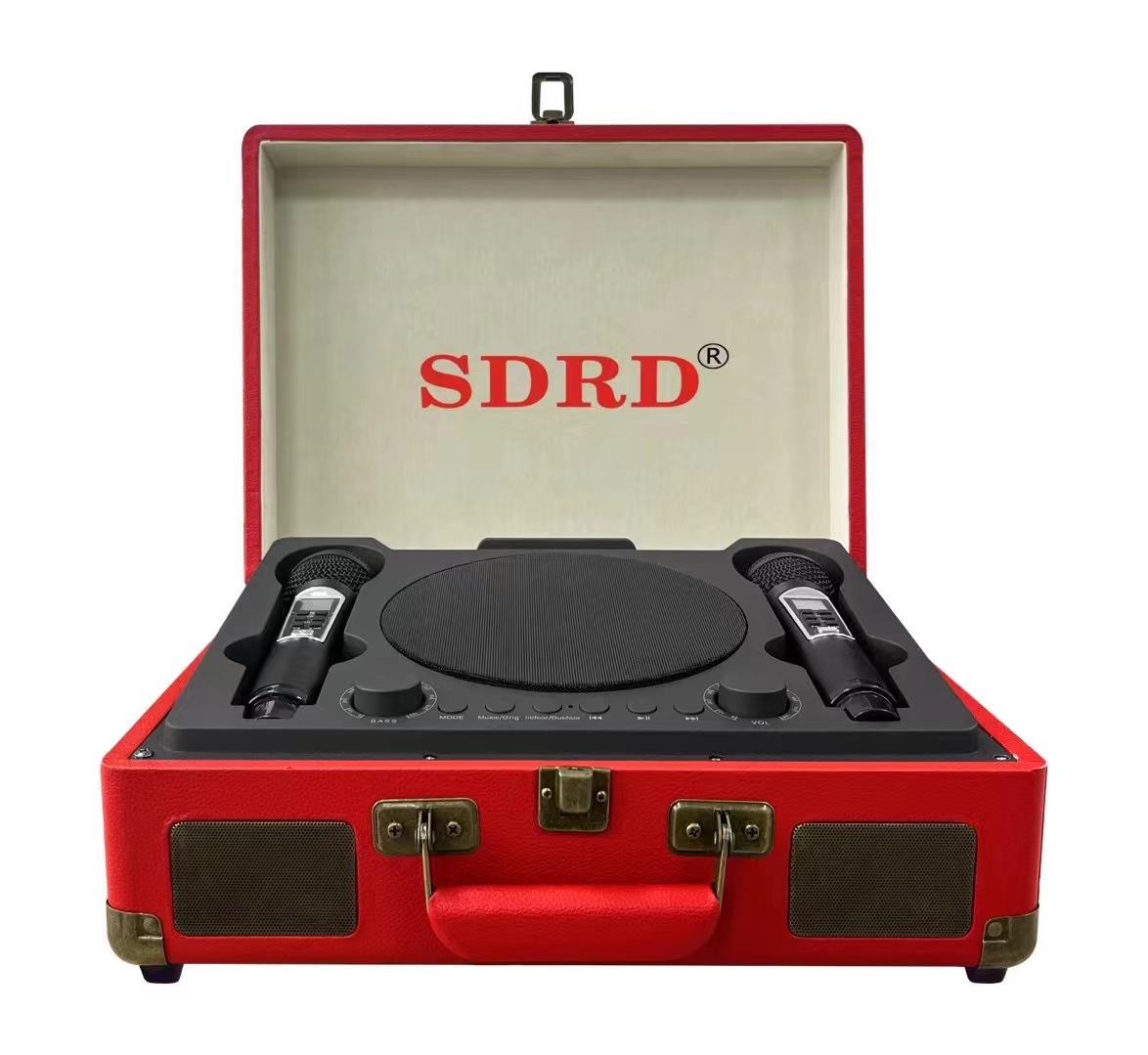 SD2109 Bluetooth Speaker Wireless Microphone Microphone Singing All-in-One Handheld Outdoor Portable K Song