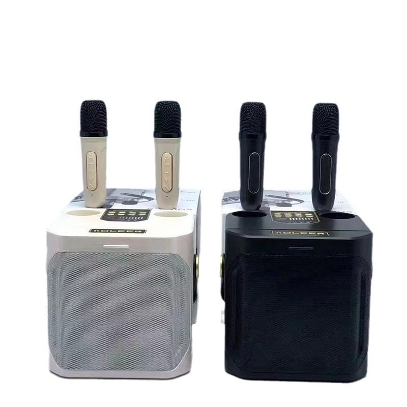 Double Person Karaoke Handle Speaker S882 Family Party Outdoor Dinner Portable Direct Hair