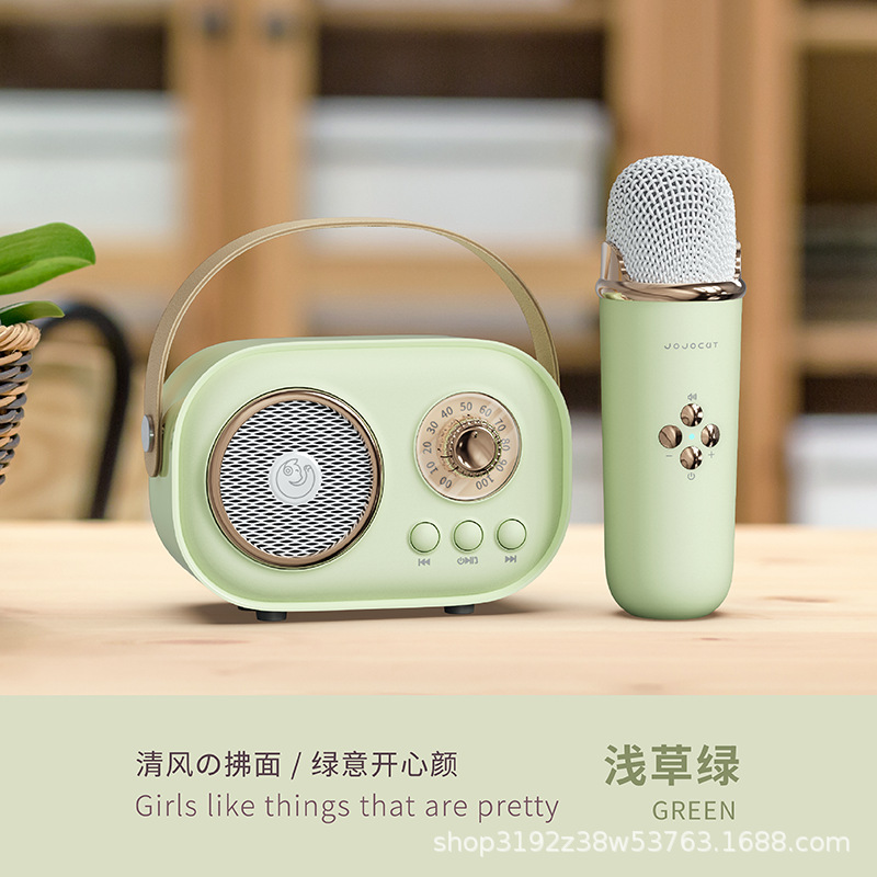 C20 Wireless Microphone Speaker All-in-One Wireless Bluetooth National K Song Children Singing Home Speaker