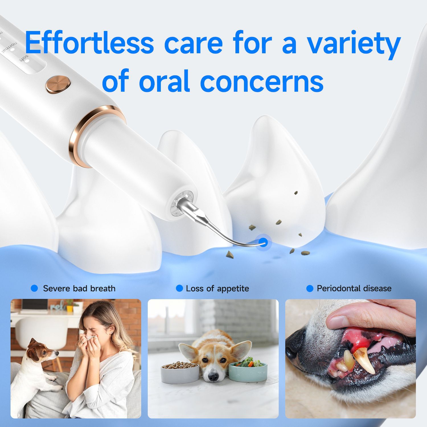 Removes calculus, pet electric tooth cleaner, dog, Yue'er Wanwan ultrasonic tooth cleaner