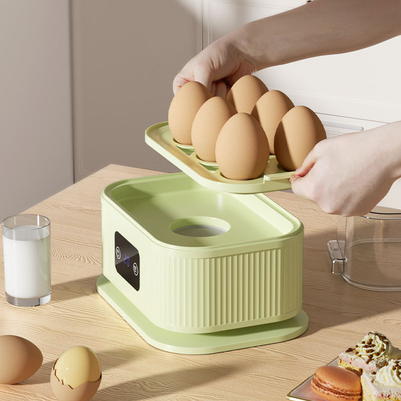 Multifunctional Egg Cooker Student Dormitory Small Breakfast Steamer Egg Cooker Home Kitchen Steam Fish Steamer Egg