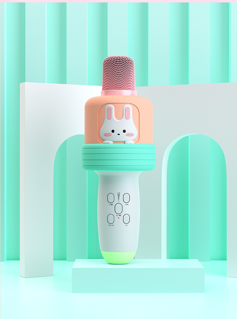 Exclusive Microphone All-in-One Microphone Home Outdoor K Song Wireless Bluetooth Children's Pet Microphone Custom