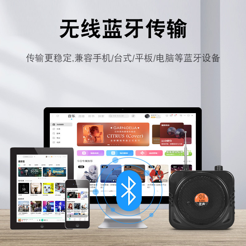 Wireless Amplifier Small Bee Teaching Lecture Headset Headworn Microphone Speaker Megaphone Amplifier