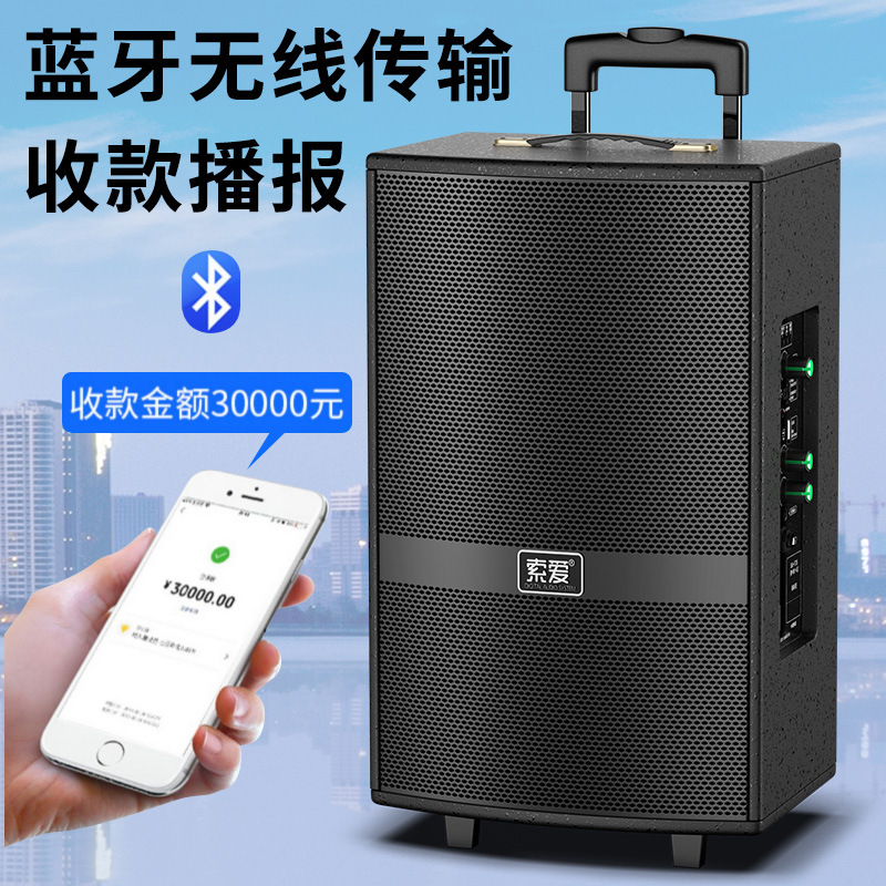 Soai F36 Square Dance Speaker Outdoor Performance K Song Dance 15-inch Mobile Pull Rod Bluetooth Speaker with Microphone
