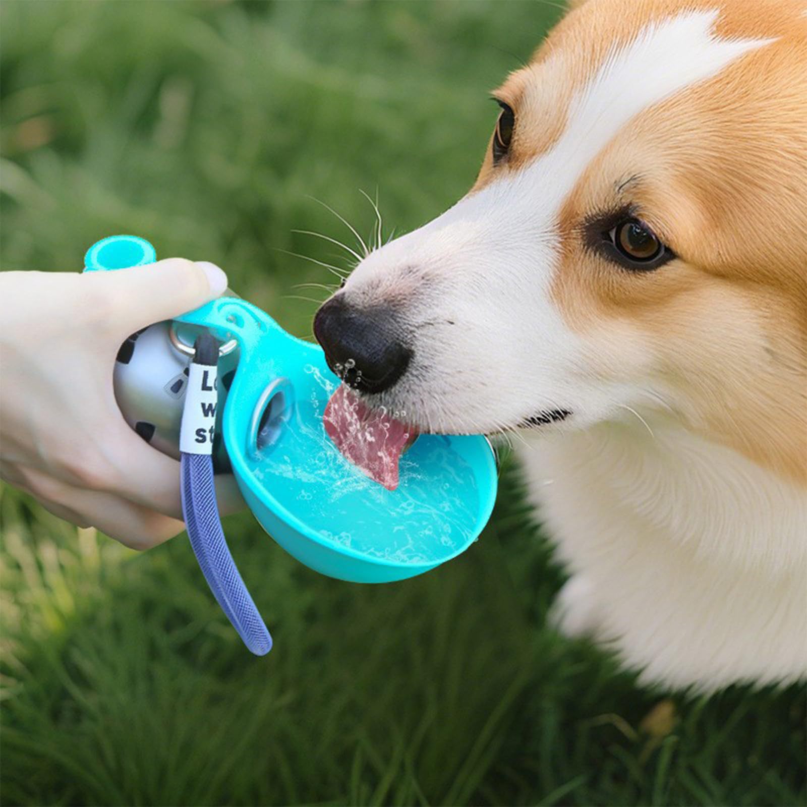 New Pet Supplies Stainless Steel Water Bottle Round Outdoor Water Cup Portable Foldable Cat Dog Water Dispenser