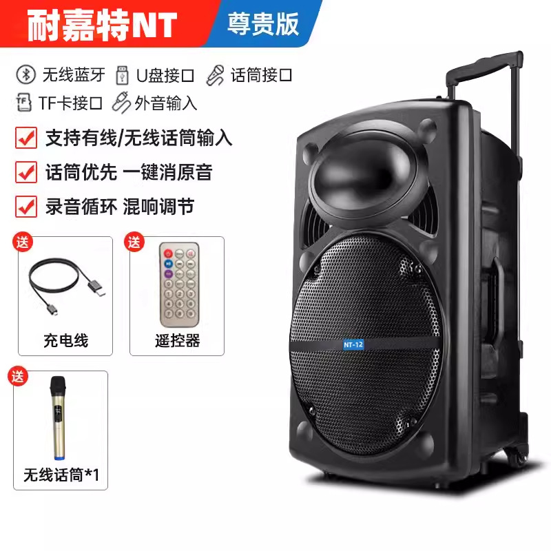 Outdoor Square Dance Audio 12-inch Loud Volume Handheld Portable K Song Bluetooth Speaker Headset Vending