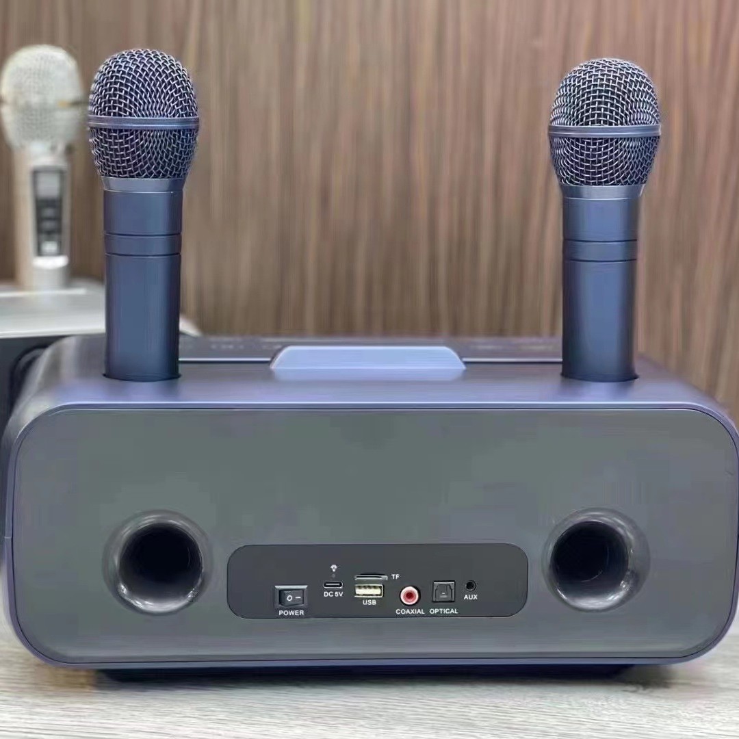 SD318 Wireless Bluetooth Speaker Dual Microphone Mobile TV KTV Singing Karaoke All-in-One Audio
