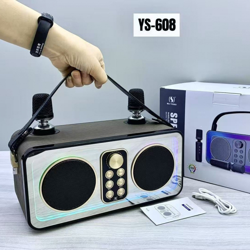 YS608 portable outdoor home leather grain high power 3600 mAh dual wireless mic K song speaker