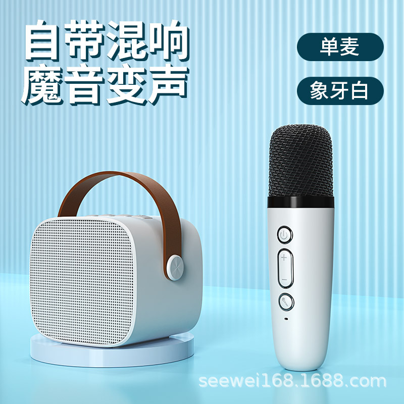 Portable Bluetooth speaker home wireless karaoke speaker microphone outdoor singing small home KTV