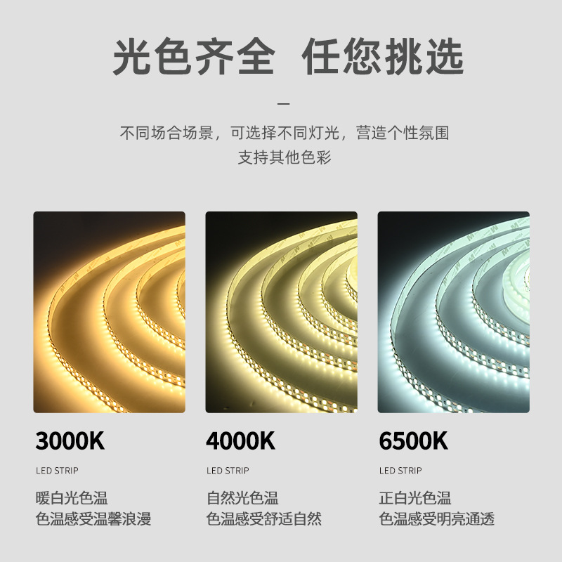 LED strip light, self-adhesive, living room ceiling, 24V, 10mm, 240D, double row, atmosphere, low-voltage, linear, 2835 strip light