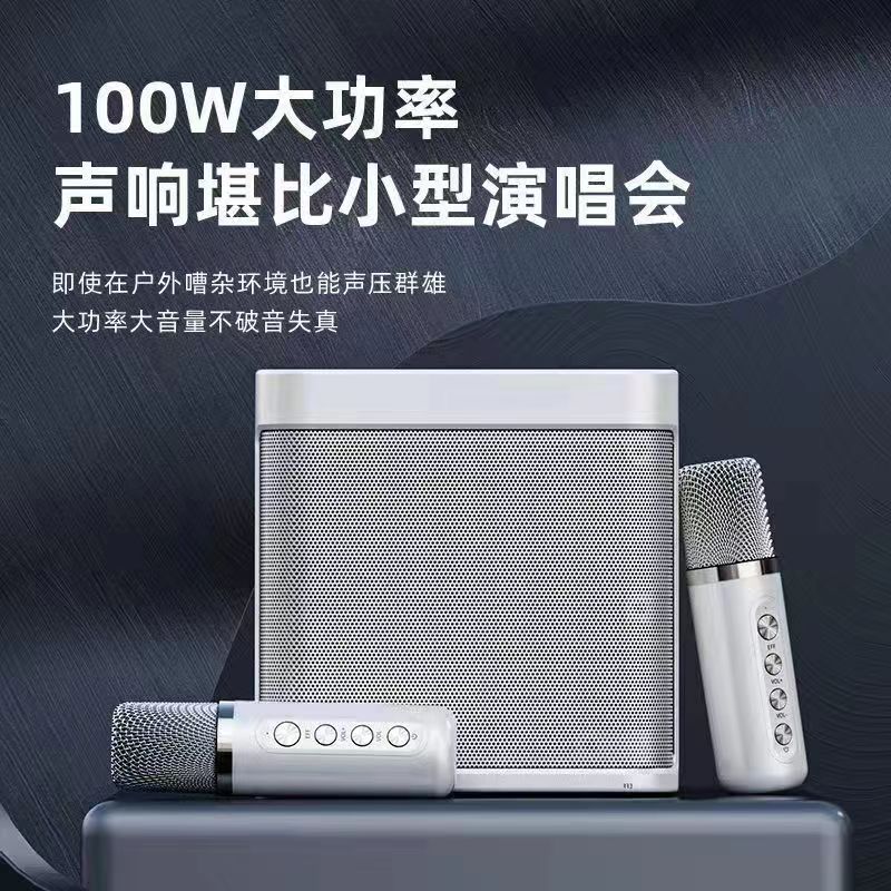 YS203 Bluetooth Speaker Wireless K歌 Speaker with Microphone Outdoor Singing YS203 Speaker