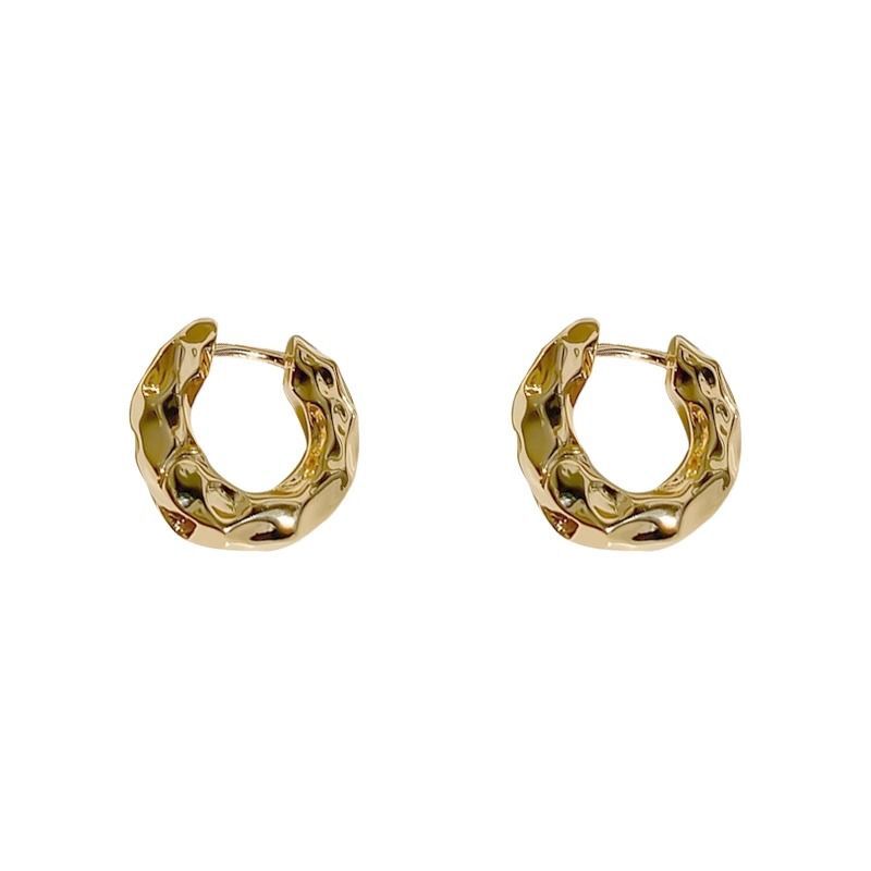 Earrings Women Metal Stud Earrings 925 Silver Needle Ear Accessories 2025 New