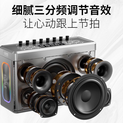 Shenlaike S1128 Digital Sound Card Bluetooth Speaker Outdoor High Power Square Dance Audio Portable Speaker