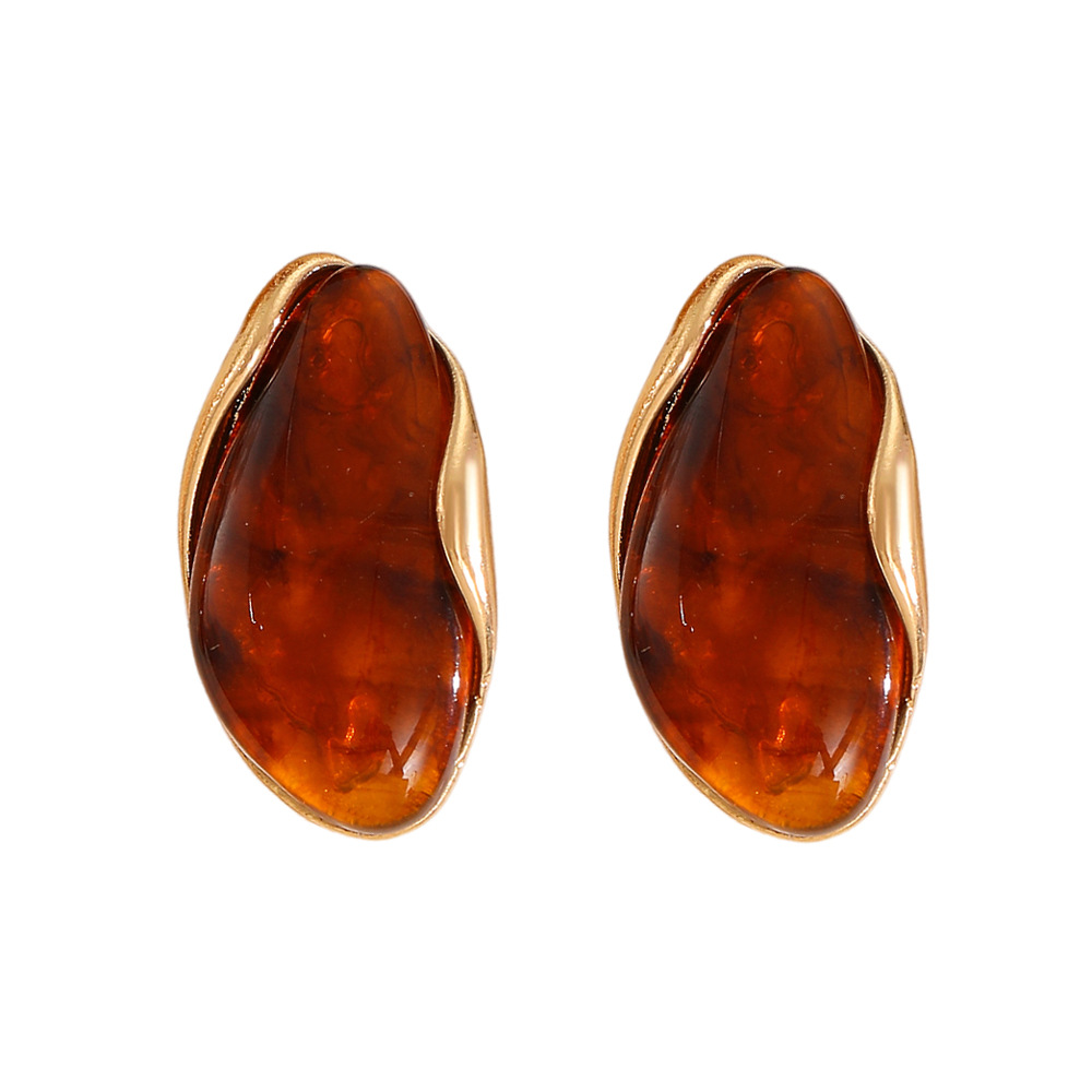Irregular Morandi Style Resin Alloy Earrings Women Coffee Color Stud Earrings Ear Decor Ring