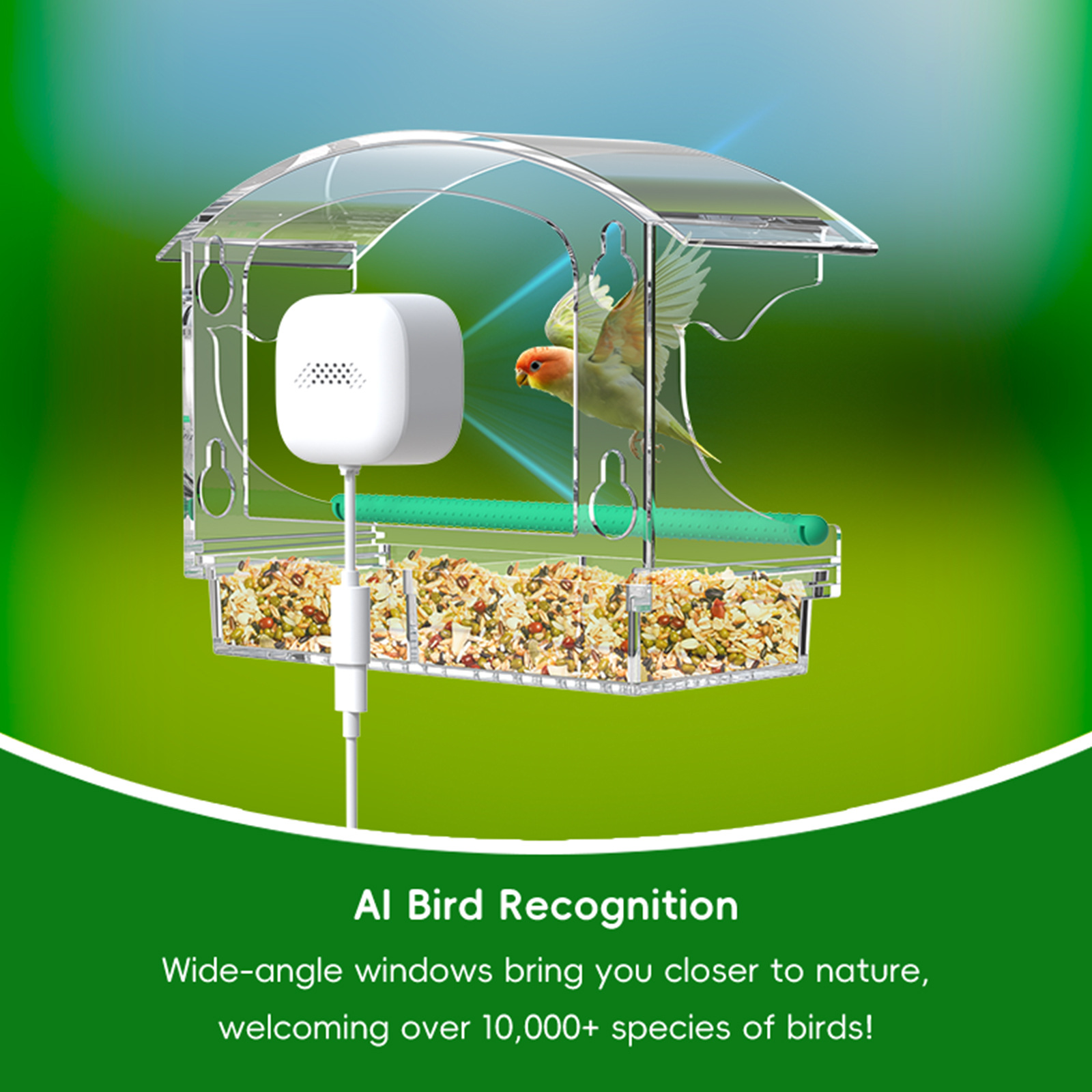 Smart Bird Feeder with Camera AI Recognition of 10,000+ Birds Acrylic Window Bird Watching Device