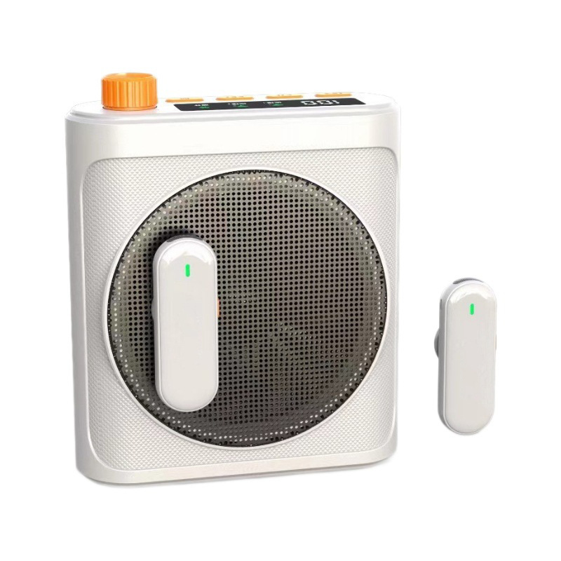 Custom Bee Speaker Amplifier Clip-on Loud Volume Amplifier Sales Portable Wireless Amplifier Teacher
