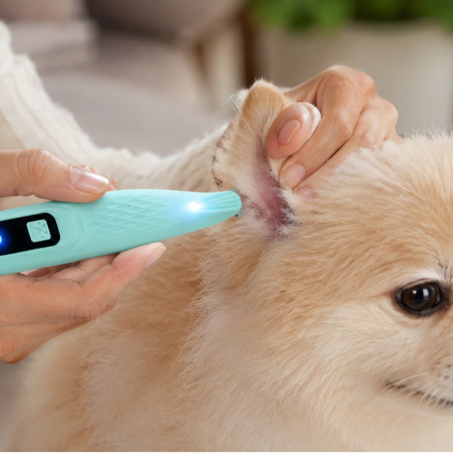 New Pet Hair Clipper Waterproof Wide and Narrow Blade LED Shaver for Cat Dog Ear Paw Hair
