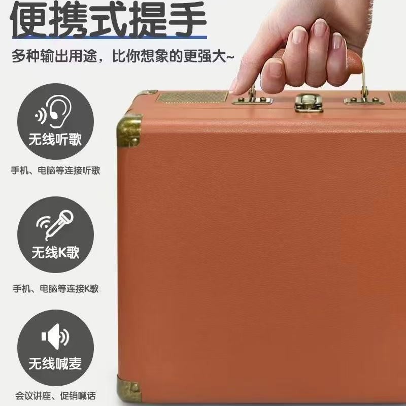Bluetooth Speaker SD2109 Wood Box Portable Outdoor Wireless Dual Microphone K-Song Machine Home Children