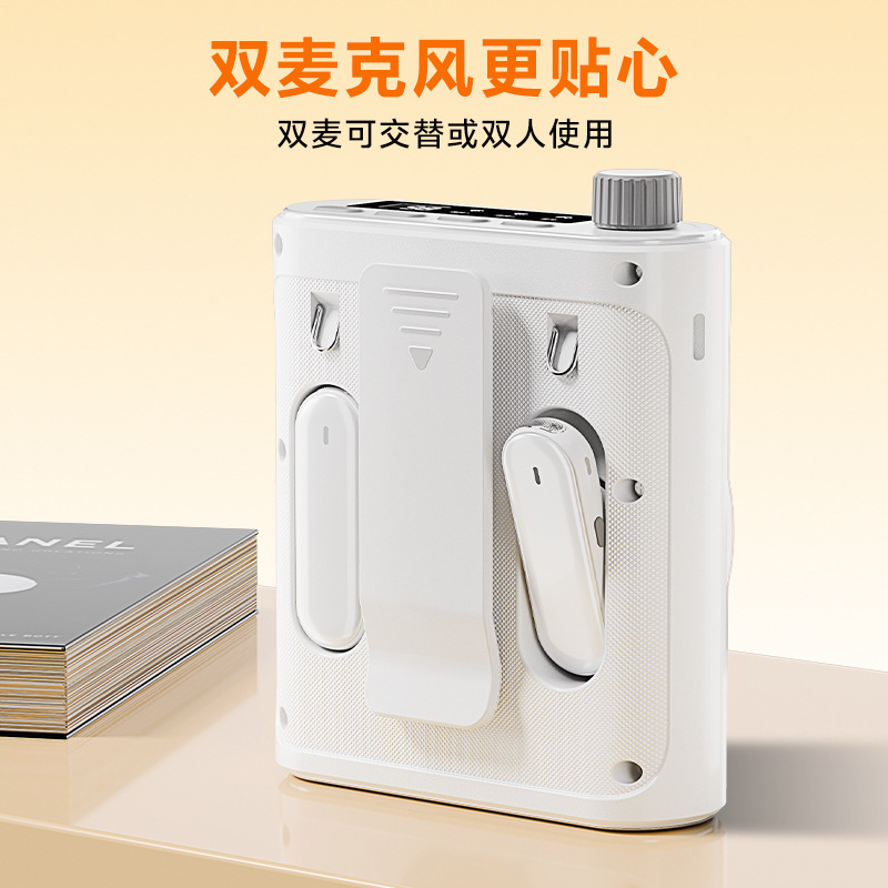 Custom Bee Speaker Amplifier Clip-on Loud Volume Amplifier Sales Portable Wireless Amplifier Teacher