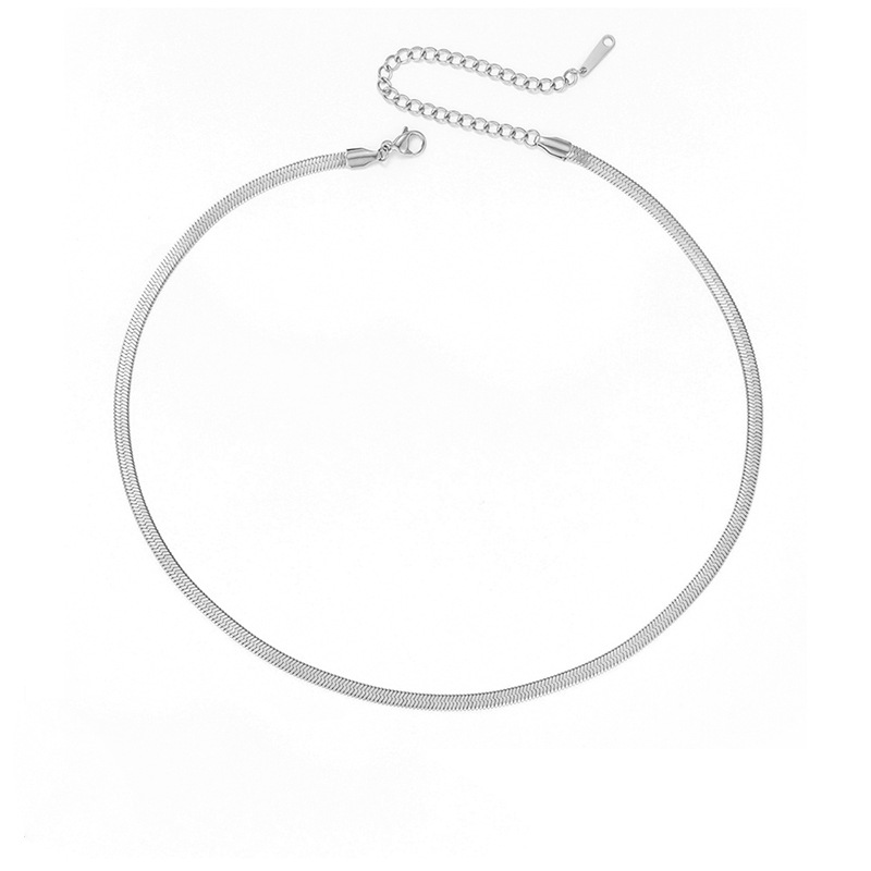 eManco Collarbone Chain Women Titanium Steel Snake Bone Chain Necklace 5mm Choker Simple Minimalist