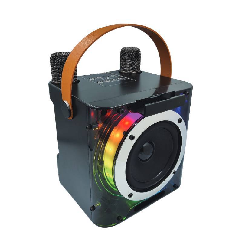 YS210 Bluetooth speaker with microphone high power wireless outdoor KTV Bluetooth speaker A829