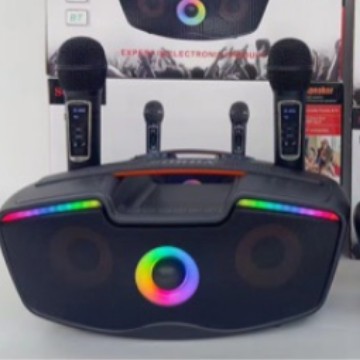 SD219 Wireless Bluetooth Speaker Handheld Microphone Duet Home K-Song Machine All-in-One Taiwan SDRD