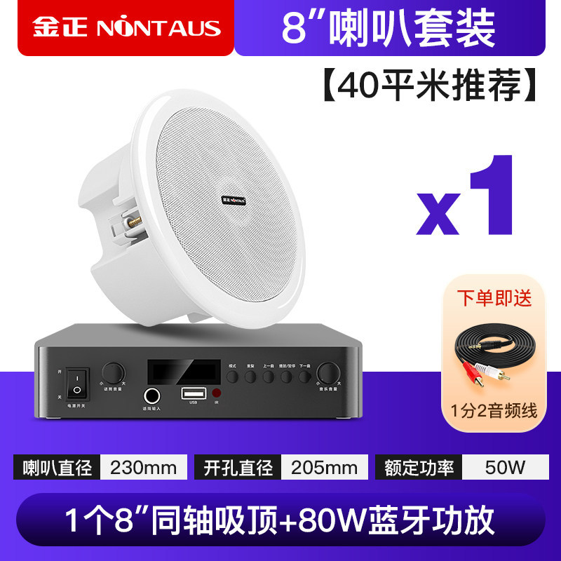 80瓦特惠款功放+8寸同轴喇叭 *1