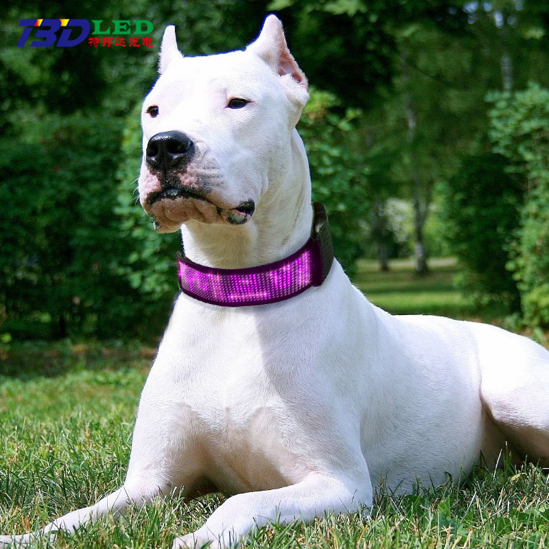 LED Display Pet Collar, Mobile-Controlled Monochrome Collar and Leash, Glowing LED Dog Collar