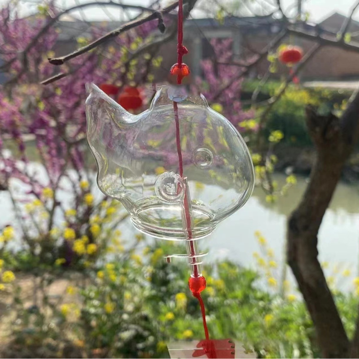 小鱼儿