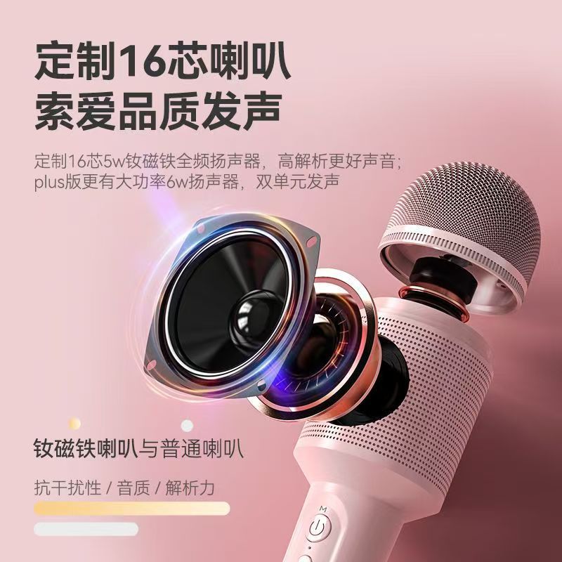 Soai MC8 Microphone Speaker All-in-one Home K Song Wireless Bluetooth Children Singing Speaker Home KTV
