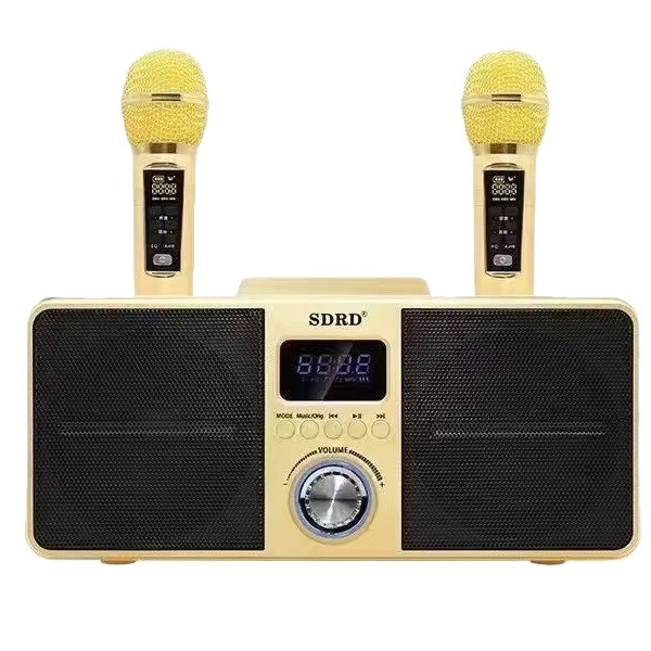 SD309 Wireless Dual Microphone Bluetooth Speaker Singing All-in-One Outdoor Portable High-Power K-Song Machine