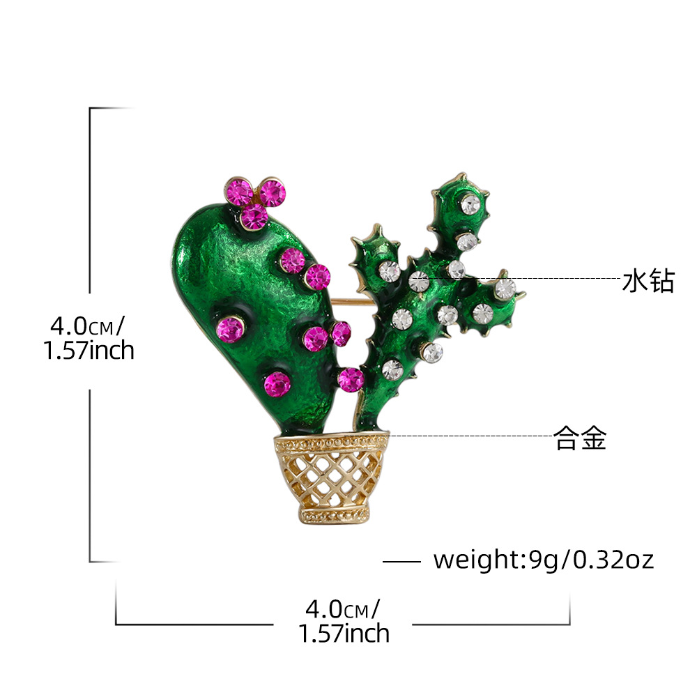 YNCP0603仙人掌