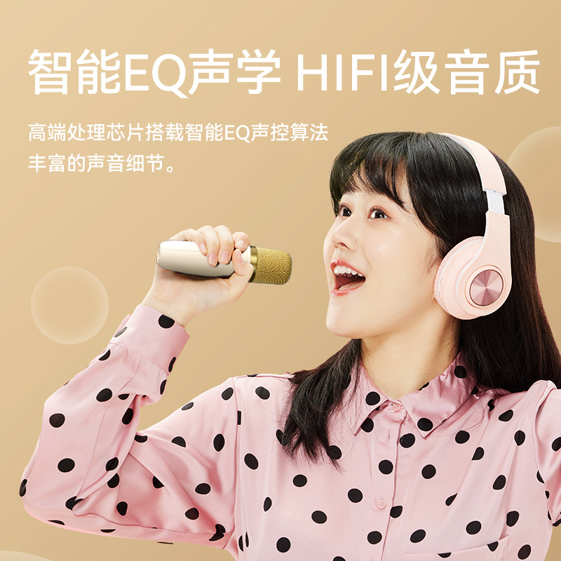 havit Portable Home Microphone Speaker All-in-one Karaoke Wireless Bluetooth Speaker Small Gift