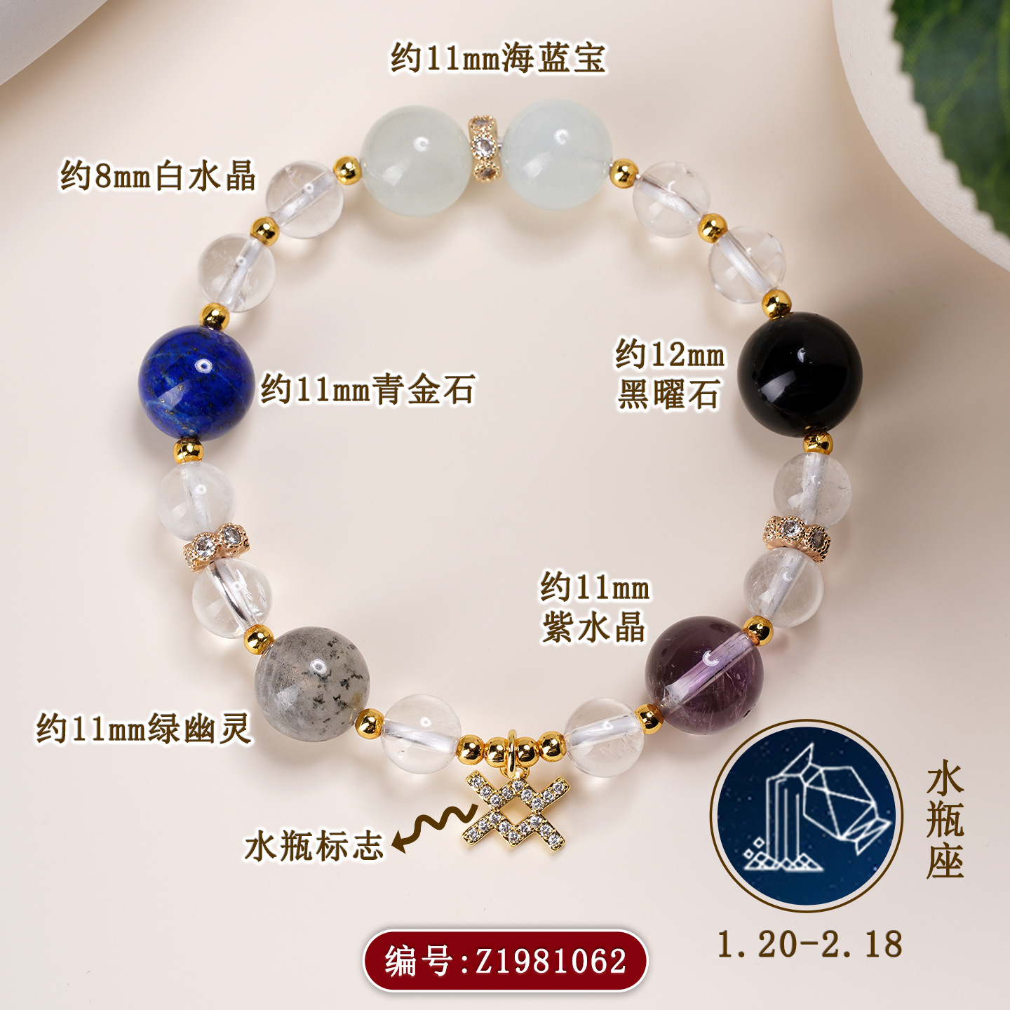Z1981【水瓶座】1.20-2.18