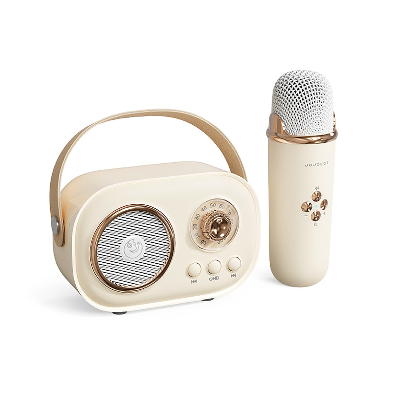 C20 Wireless Microphone Speaker All-in-One Wireless Bluetooth National K Song Children Singing Home Speaker