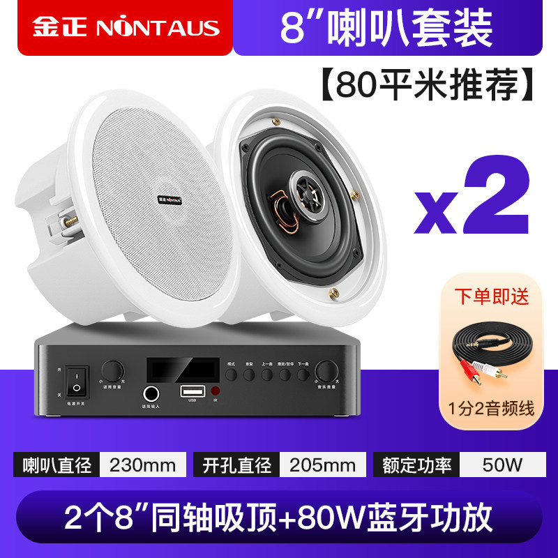JinZheng Bluetooth coaxial ceiling audio living room ceiling shop speaker dedicated amplifier commercial supermarket restaurant