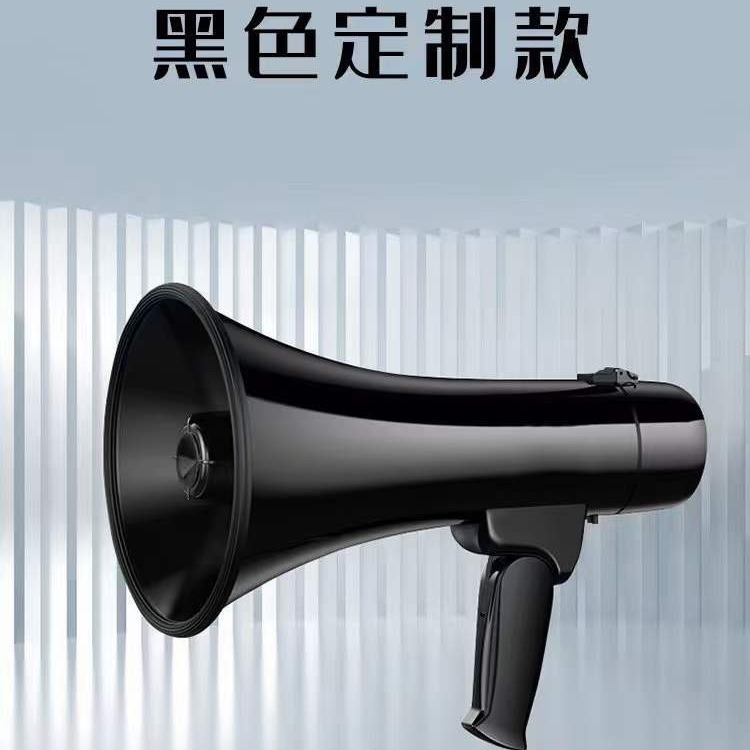 50W High Power Handheld Wireless Loudspeaker Multifunctional Amplifier with Card Slot and Bluetooth Promotion Horn Loudspeaker