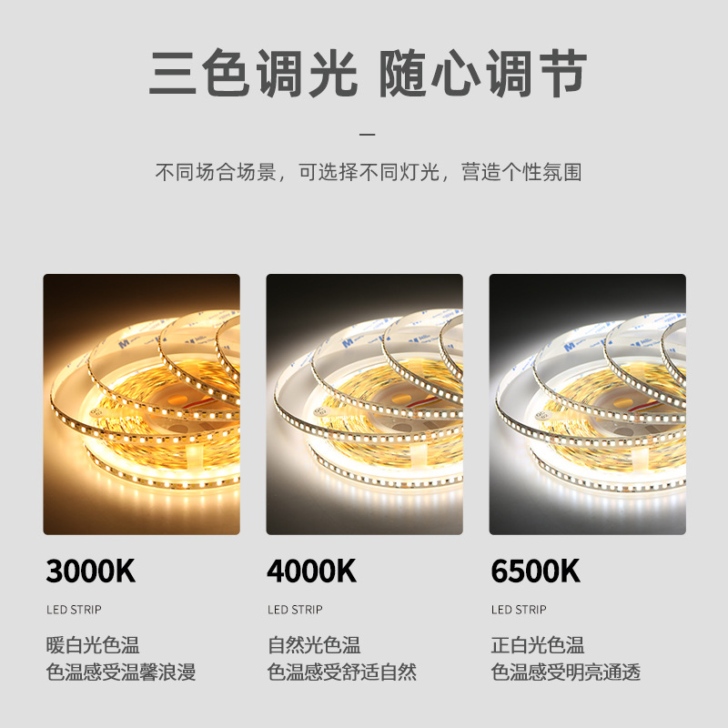 LED strip light, three-color change, self-adhesive, living room, 24V, 8mm, 192, dual color temperature, smart dimmable, linear strip light