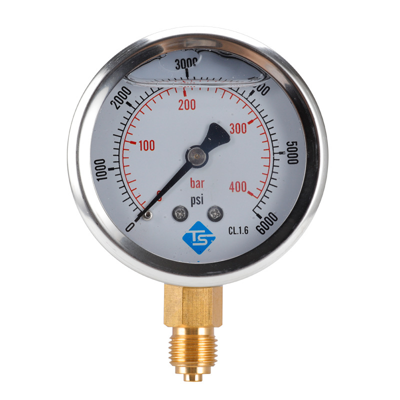 TS-PGG604-400bar