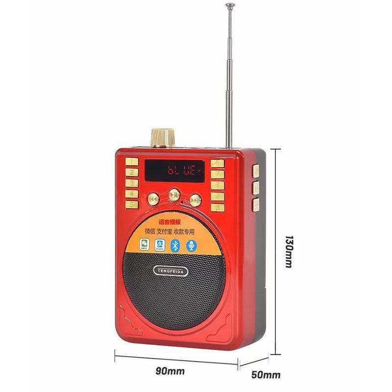 Strictly Selected Bluetooth Multi-functional with Card Slot Radio Opera Player Loud Volume FM Broadcast Portable Amplifier