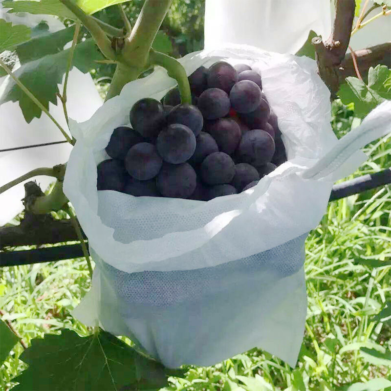 Outdoor binding wire non-woven grape bag pomelo pear fruit protection bag insect-proof bird-proof rain-proof fruit bag