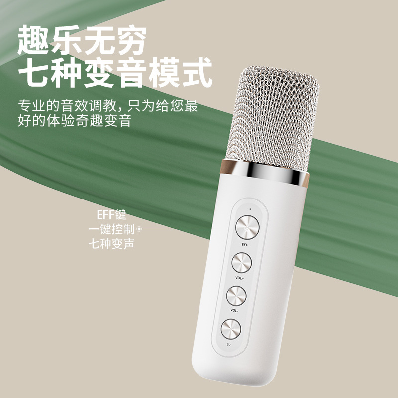 Speaker Karaoke Portable KTV Recording Live Singing Practice Listening Singing Bluetooth KTV Speaker Set