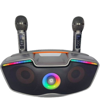SD219 Wireless Bluetooth Speaker Handheld Microphone Duet Home K-Song Machine All-in-One Taiwan SDRD